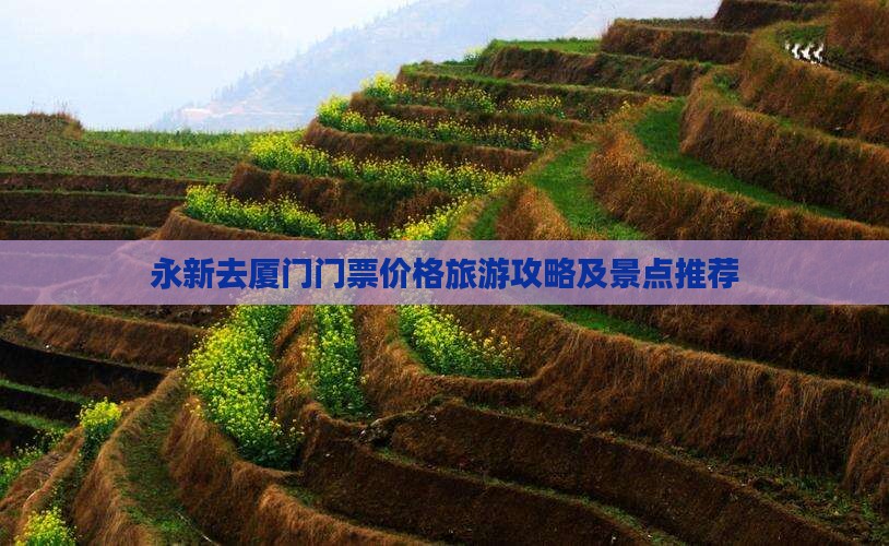 永新去厦门门票
