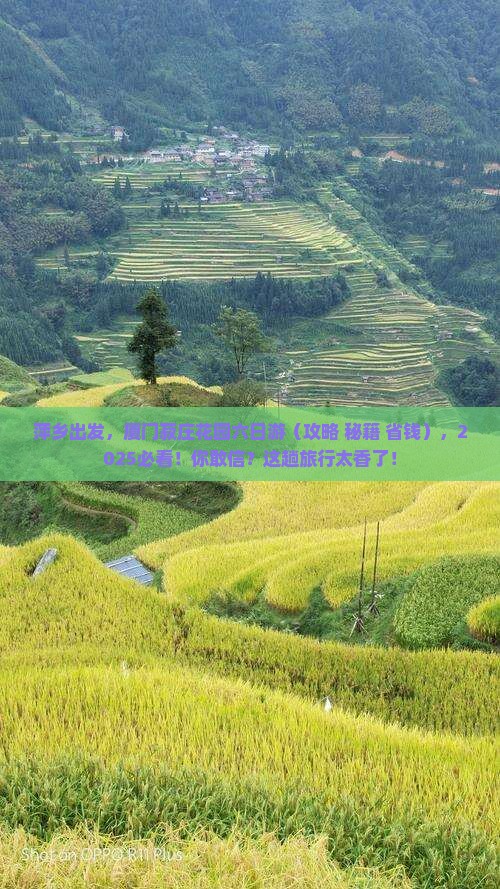 萍乡去厦门菽庄花园六日游