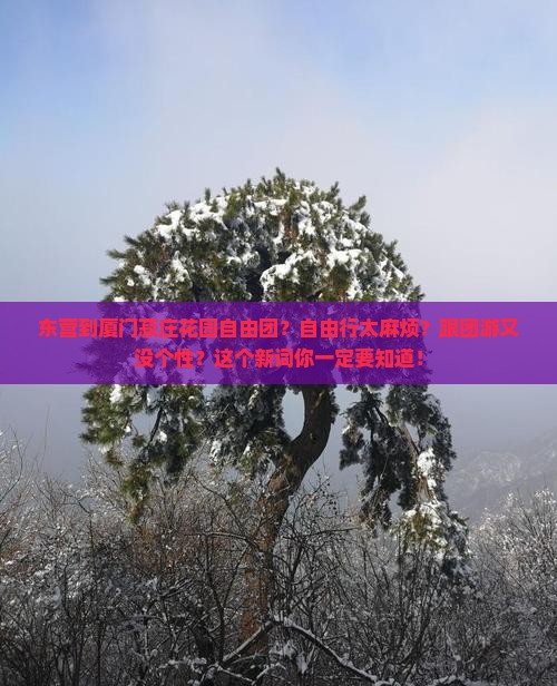 东营到厦门菽庄花园自由团 东营到厦门菽庄花园自由团