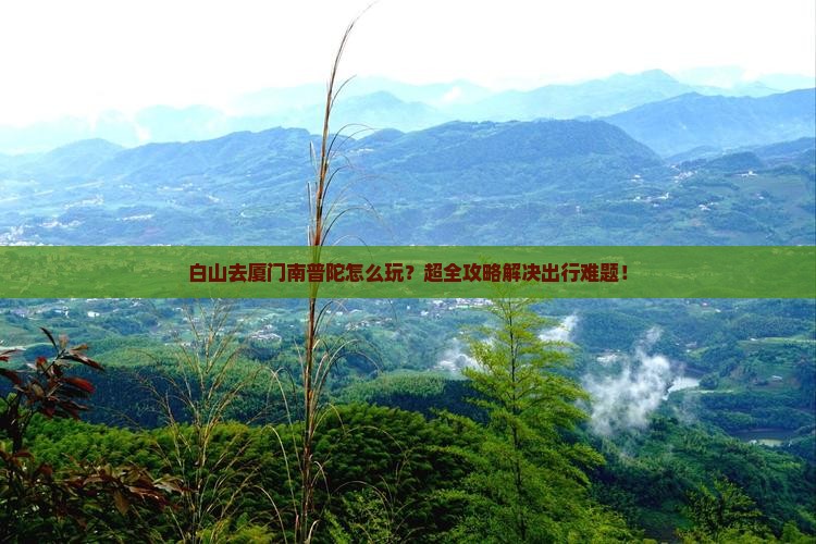 白山去厦门南普陀大型旅游团