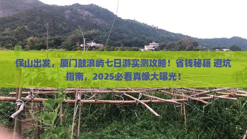 保山到厦门鼓浪屿七日游