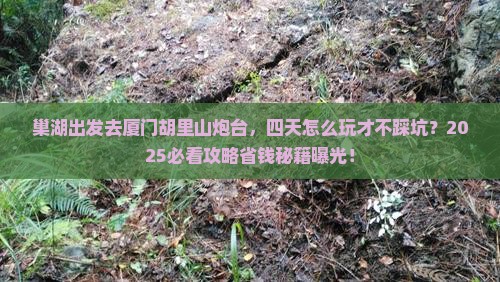 巢湖去厦门胡里山炮台四日游