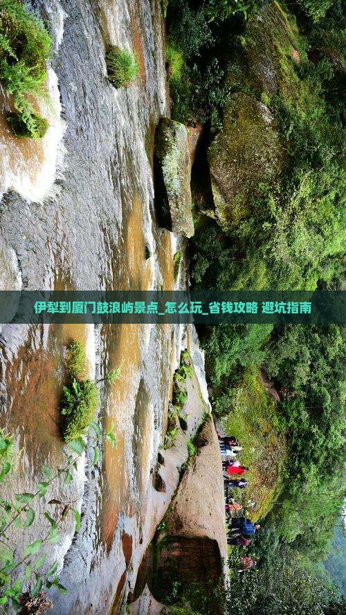 伊犁到厦门鼓浪屿景点