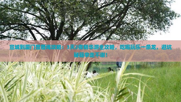 宣城到厦门曾厝埯攻略