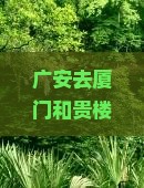 广安去厦门和贵楼四日游