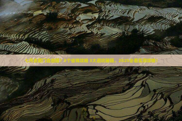 七月去厦门自由团