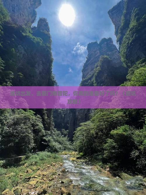 潍坊到厦门南普陀个人游