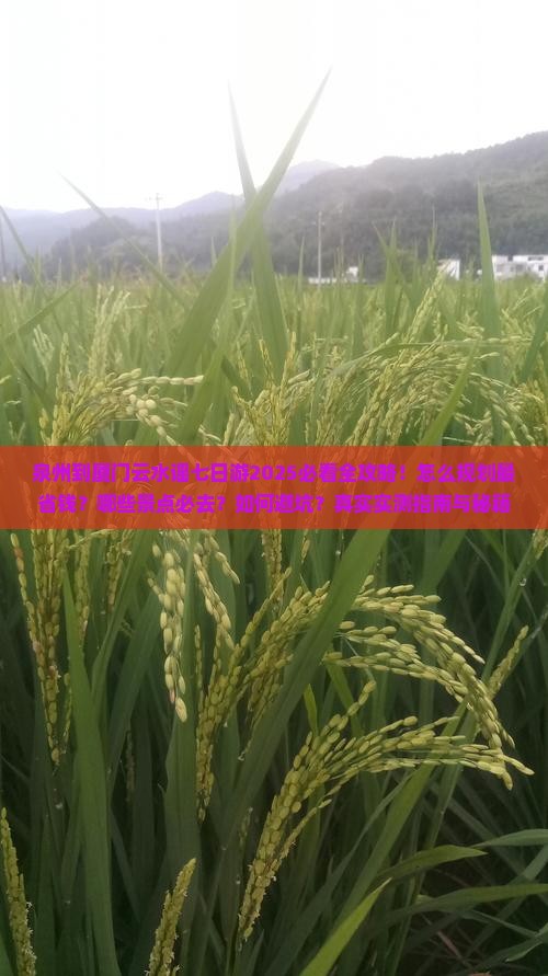 泉州到厦门云水谣七日游