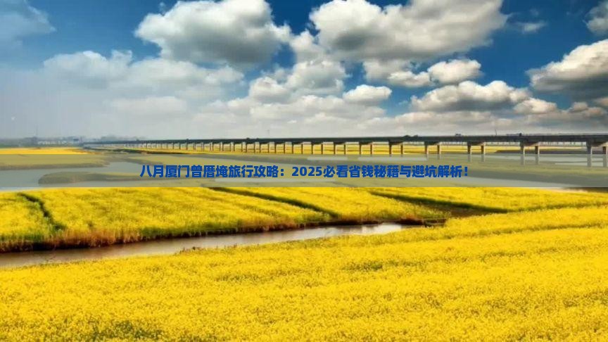 八月去厦门曾厝埯旅行社