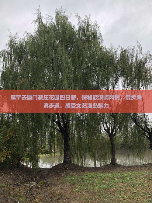 咸宁去厦门菽庄花园四日游