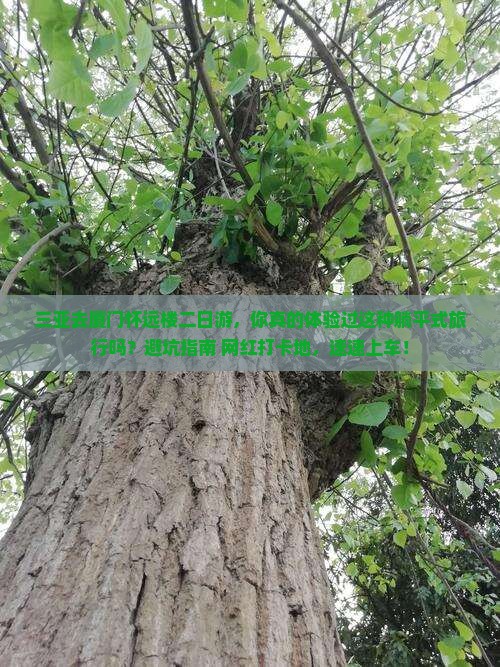三亚去厦门怀远楼二日游