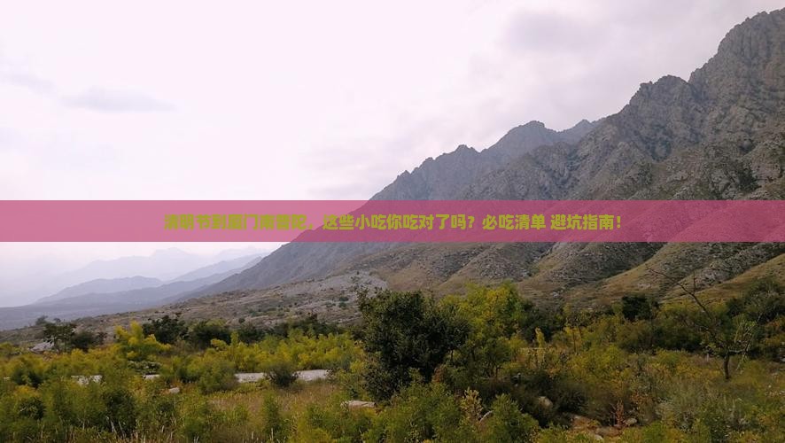 清明节到厦门南普陀旅游小吃