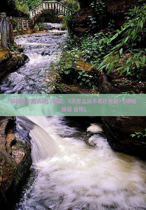 阿勒泰去厦门毓园大型旅游团
