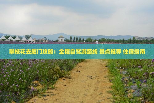攀枝花去厦门攻略