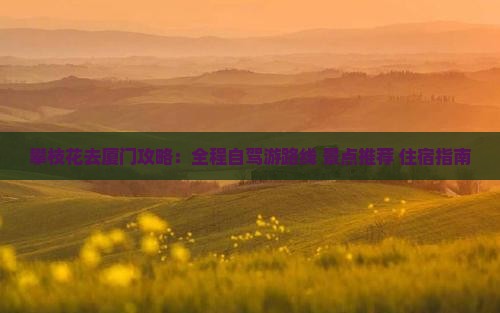 攀枝花去厦门攻略