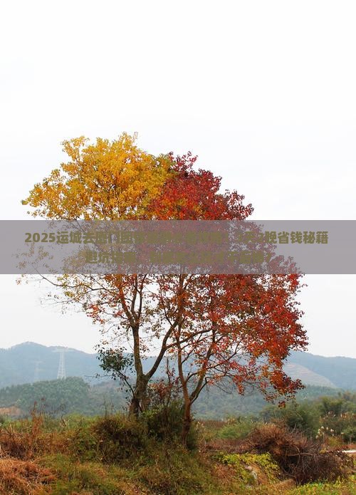运城去厦门团体旅游
