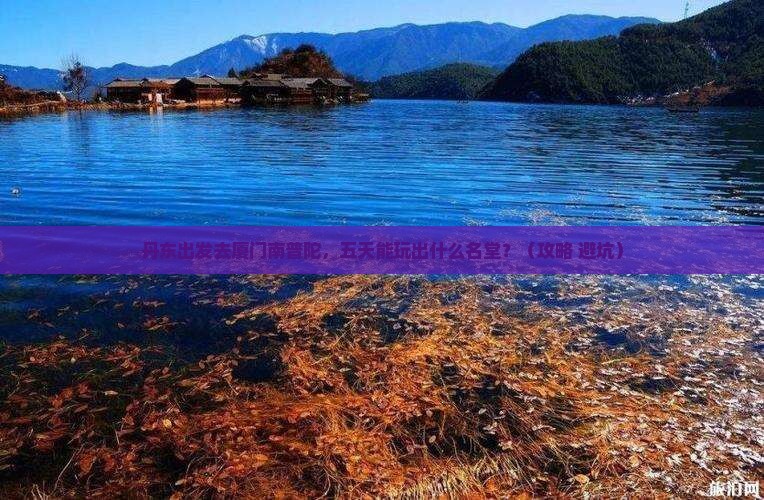 丹东到厦门南普陀五日游