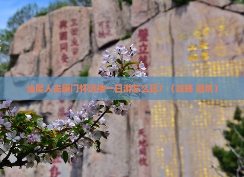 汕尾去厦门怀远楼一日