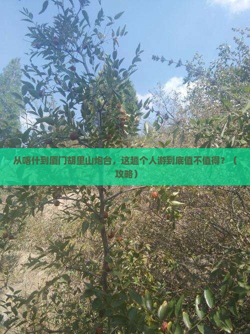 喀什去厦门胡里山炮台个人游