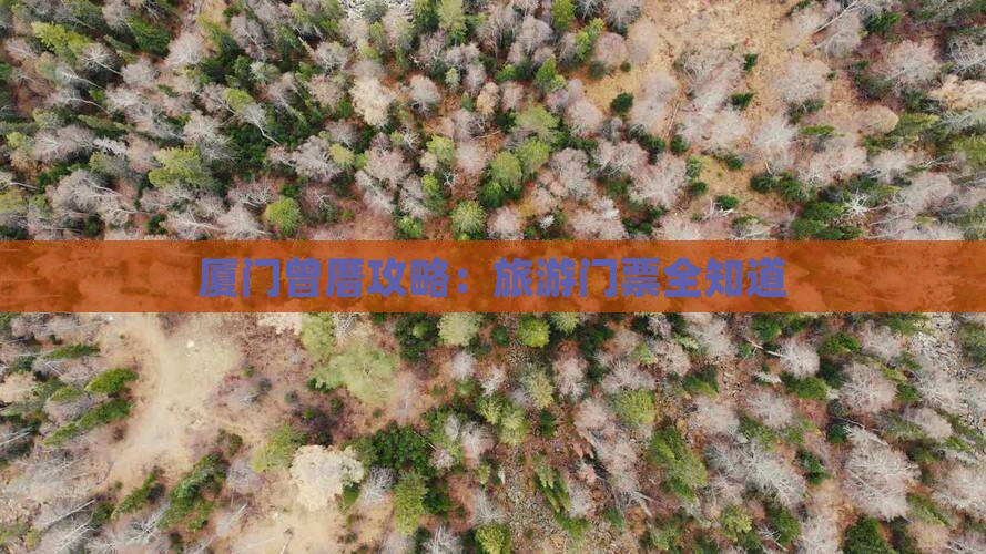 山南去厦门曾厝埯门票
