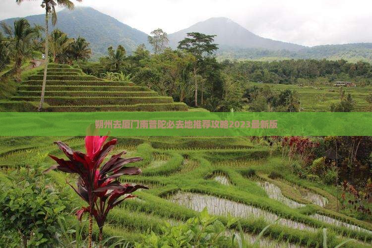 朔州去厦门南普陀必去地