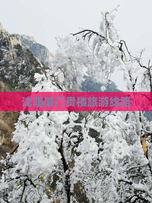 沈阳去厦门和贵楼旅行社