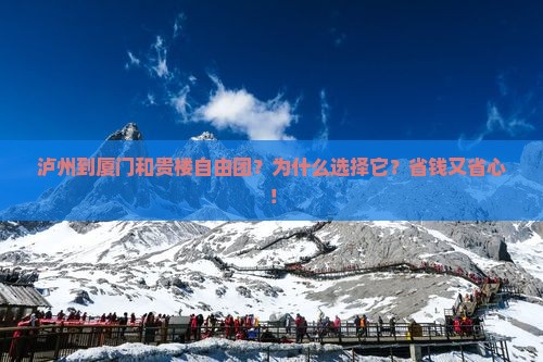 泸州到厦门和贵楼自由团