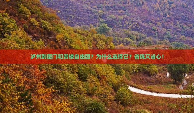 泸州到厦门和贵楼自由团