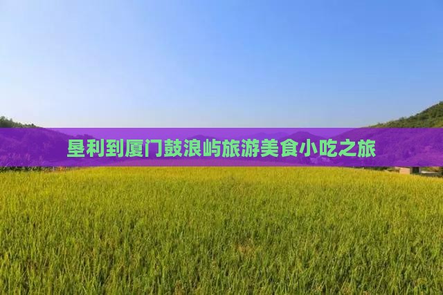 垦利去厦门鼓浪屿旅游小吃