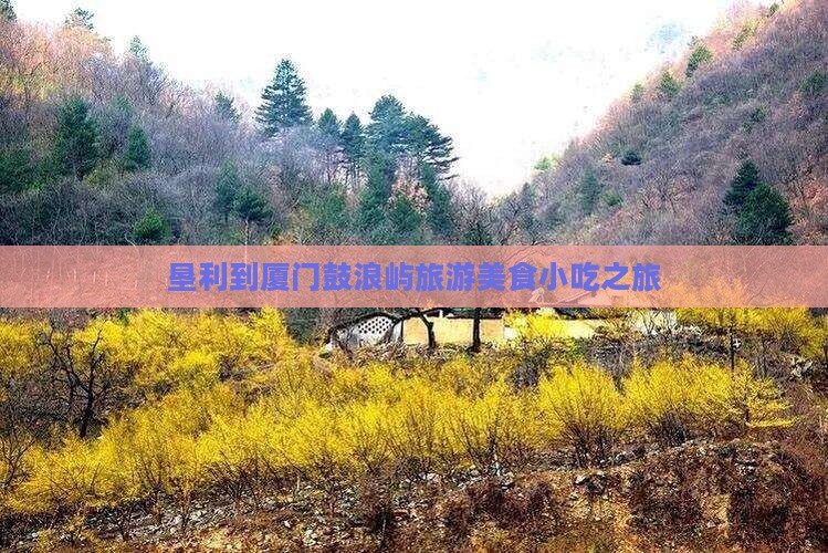 垦利去厦门鼓浪屿旅游小吃