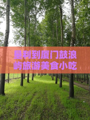 垦利去厦门鼓浪屿旅游小吃