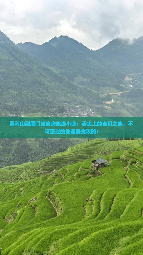 双鸭山到厦门鼓浪屿旅游小吃