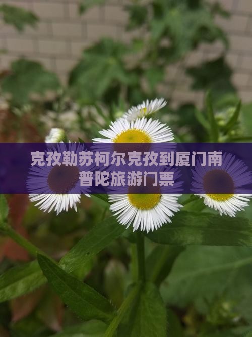 克孜勒苏柯尔克孜到厦门南普陀门票