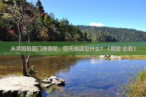 资阳到厦门南普陀四日游