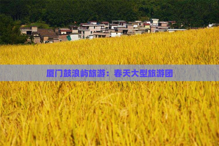 春天去厦门鼓浪屿大型旅游团