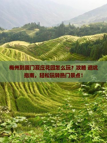 梅州到厦门菽庄花园哪里玩