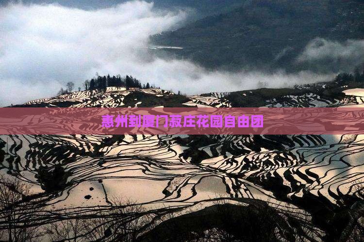 惠州到厦门菽庄花园自由团