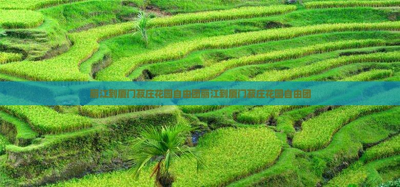 丽江到厦门菽庄花园自由团