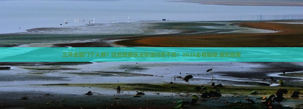 三月去厦门个人游