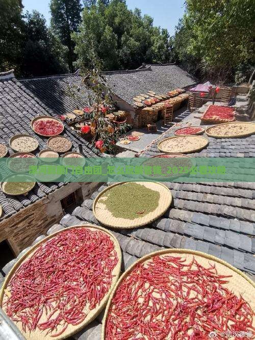 漯河到厦门自由团