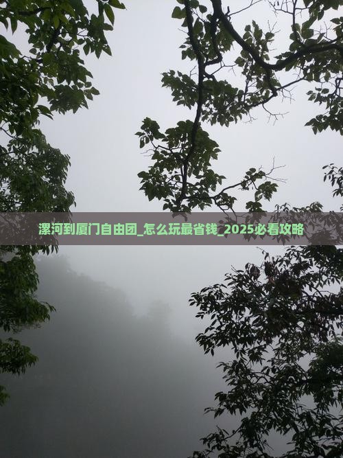 漯河到厦门自由团