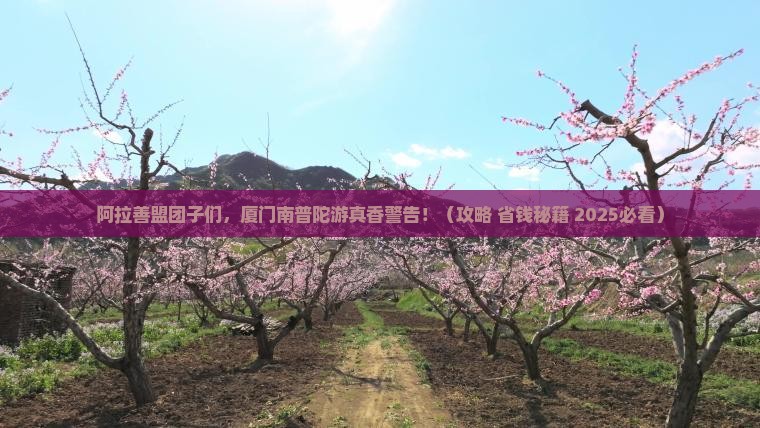 阿拉善盟到厦门南普陀团体旅游