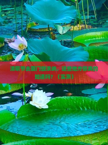 清明节去厦门鼓浪屿哪里玩