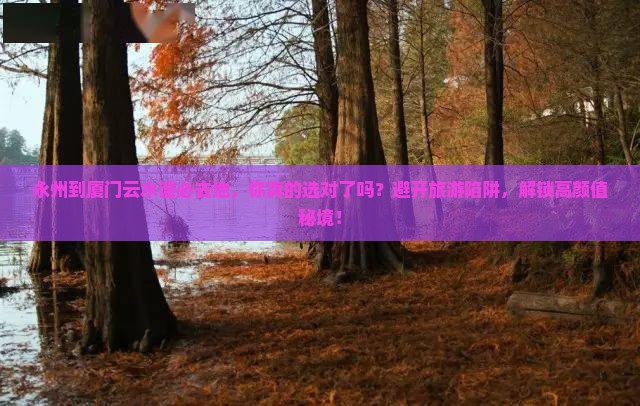 永州到厦门云水谣必去地 永州到厦门云水谣必去地