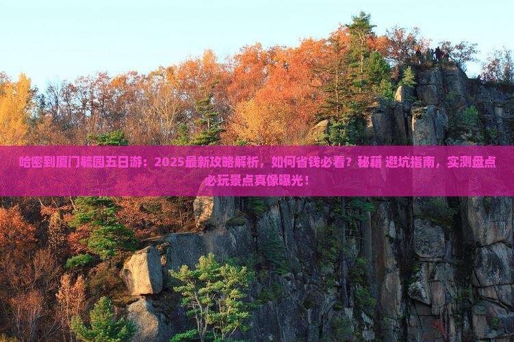 哈密到厦门毓园五日游