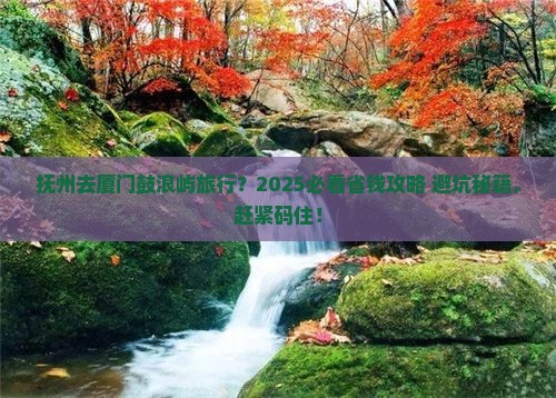 抚州去厦门鼓浪屿旅行社