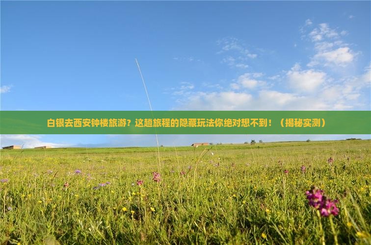 白银去西安钟楼旅游