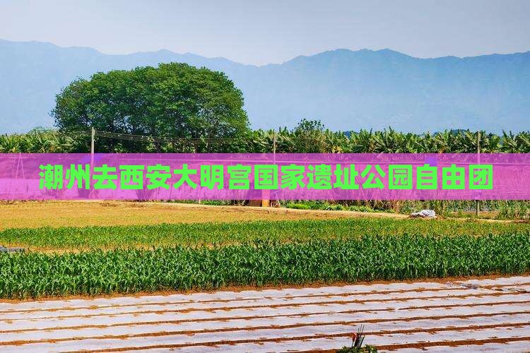 潮州去西安大明宫国家遗址公园自由团