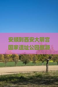安顺到西安大明宫国家遗址公园旅游