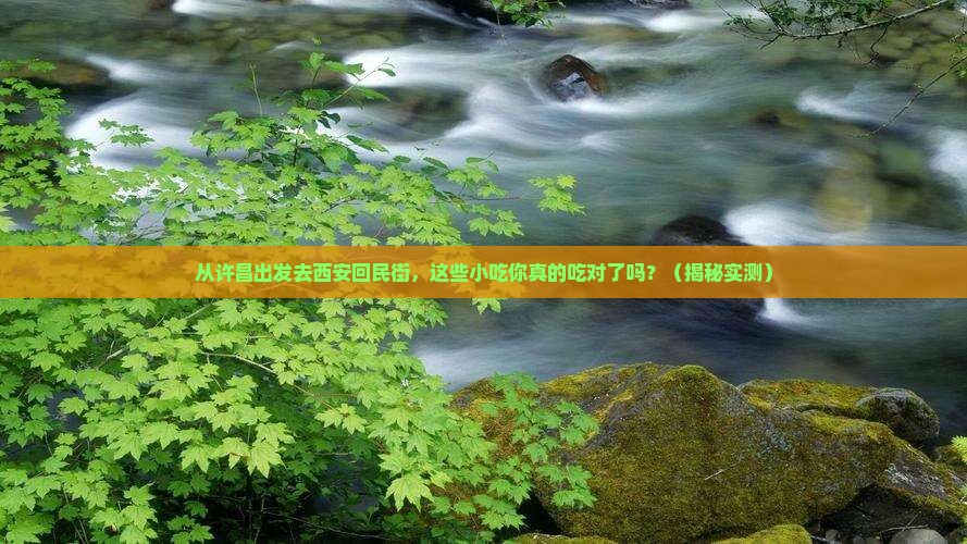 许昌去西安回民街旅游小吃 许昌去西安回民街旅游小吃